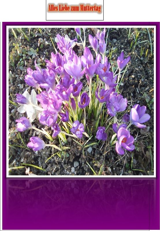 Zum Muttertag der lieben Mama