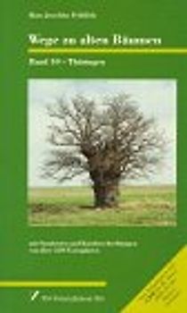 Wege zu alten Bäumen