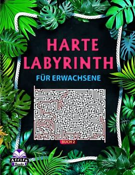 Harte Labyrinthbücher für Erwachsene Buch 2: 100 Labyrinth-Rätsel für kluge Leute