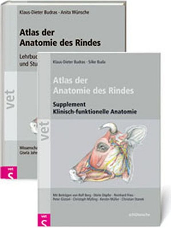 Atlas der Anatomie des Rindes