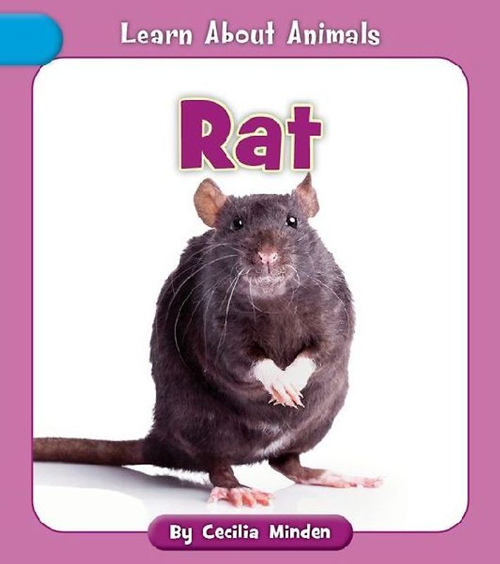 Rat