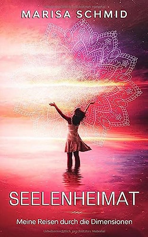 Seelenheimat: Meine Reisen durch die Dimensionen