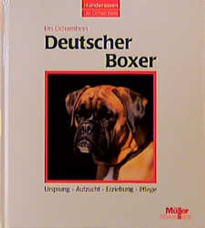 Deutscher Boxer