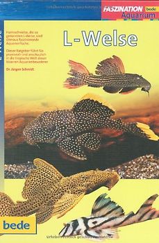 Faszination - L-Welse