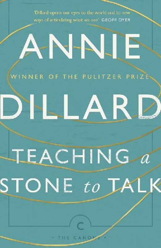 Teaching a Stone to Talk