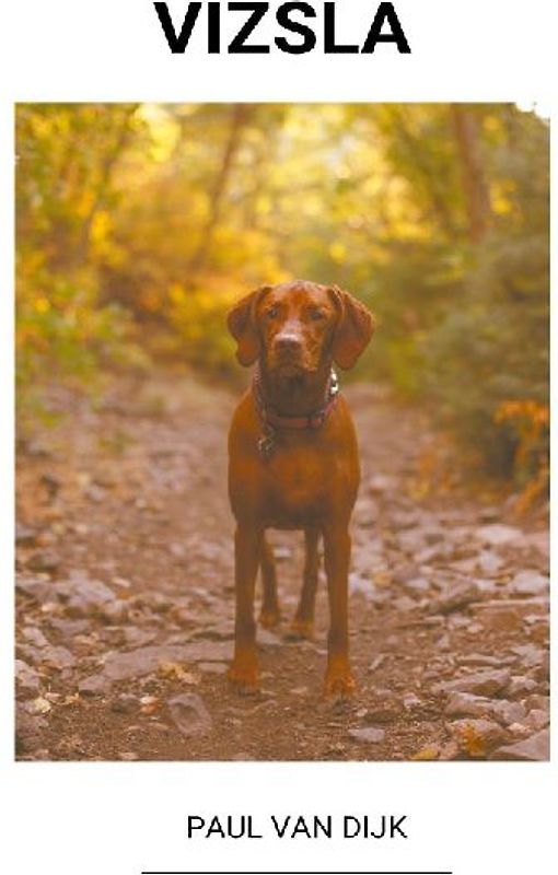 Vizsla
