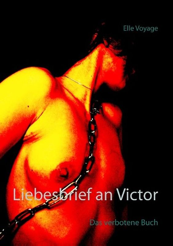 Liebesbrief an Victor. Das verbotene Buch