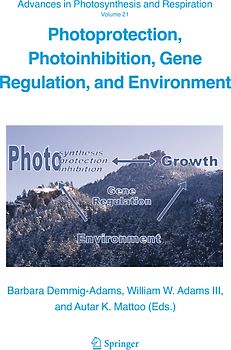 Photoprotection, Photoinhibition, Gene Regulation, and Environment