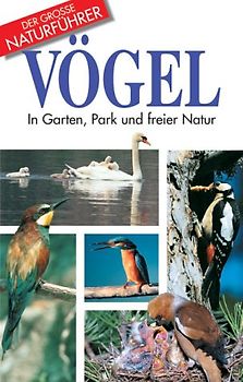 Vögel. In Garten, Park und freier Natur