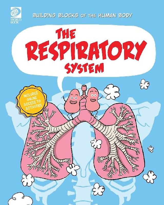 The Respiratory System