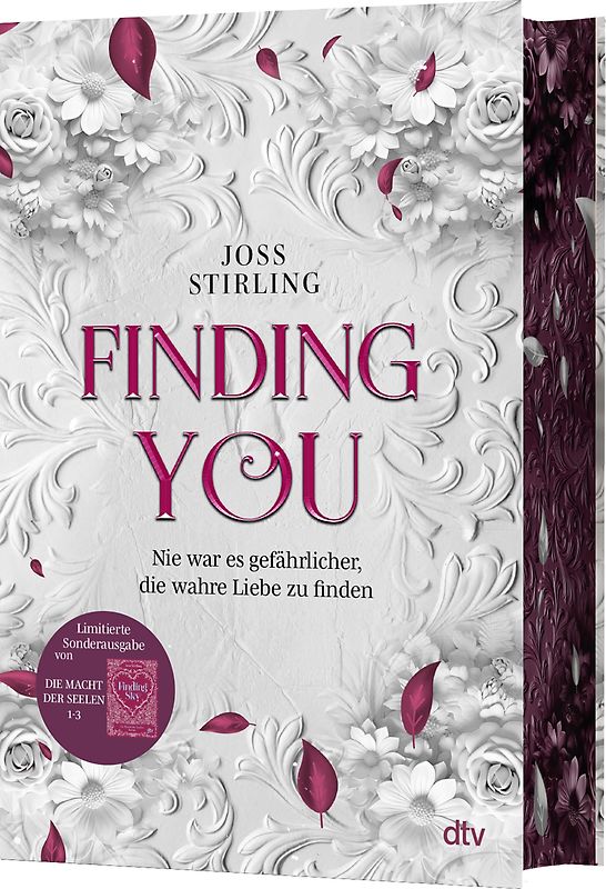 Finding You – Die Macht der Seelen