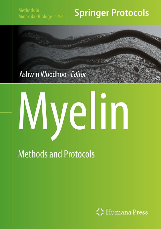 Myelin