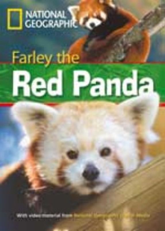 Farley the Red Panda
