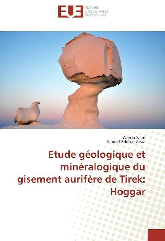 Etude géologique et minéralogique du gisement aurifère de Tirek: Hoggar