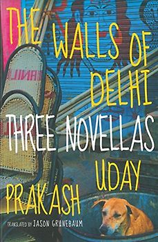 The Walls of Delhi