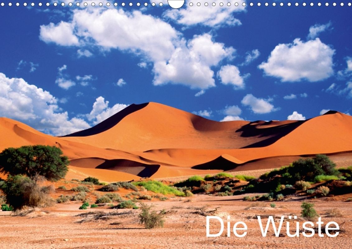 Die Wüste (Posterbuch DIN A3 quer)