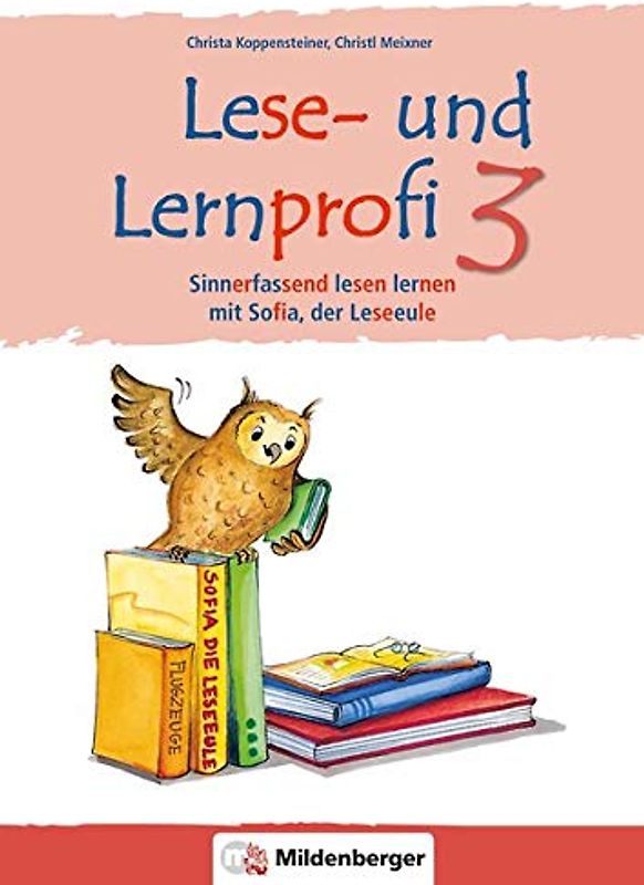 Lese- und Lernprofi 3 NEU - Schülerarbeitsheft - silbierte Ausgabe