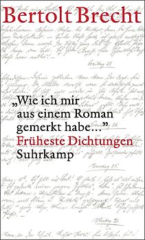 »Wie ich mir aus einem Roman gemerkt habe ...«