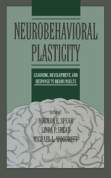 Neurobehavioral Plasticity