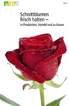 Schnittblumen frisch halten - in Produktion, Handel und zu Hause