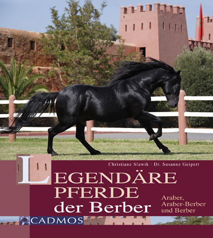 Legendäre Pferde der Berber. Araber, Araber-Berber und Berber