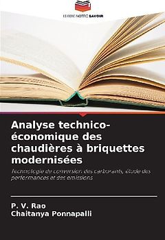 Analyse technico-économique des chaudières à briquettes modernisées