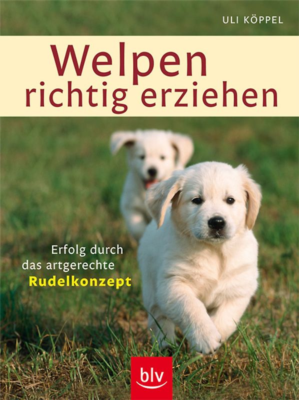 Welpen richtig erziehen