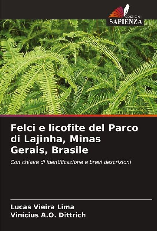 Felci e licofite del Parco di Lajinha, Minas Gerais, Brasile