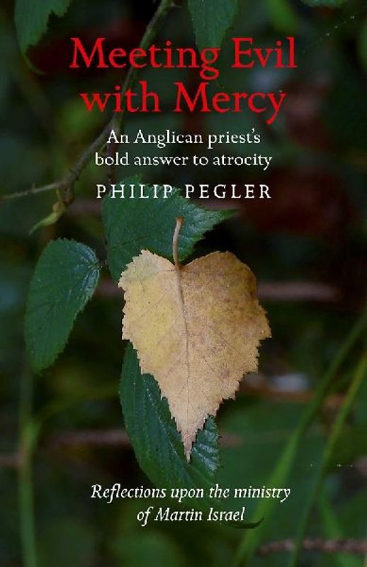 Meeting Evil with Mercy