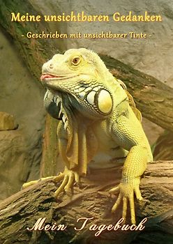 Meine unsichtbaren Gedanken