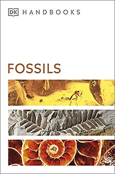 Fossils