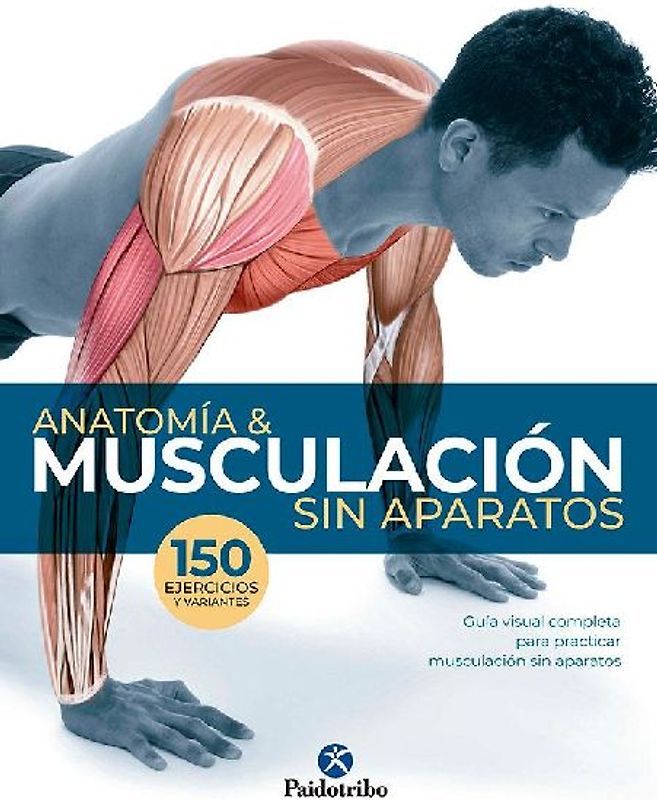Anatomía & musculación sin aparatos