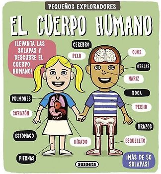 El cuerpo humano