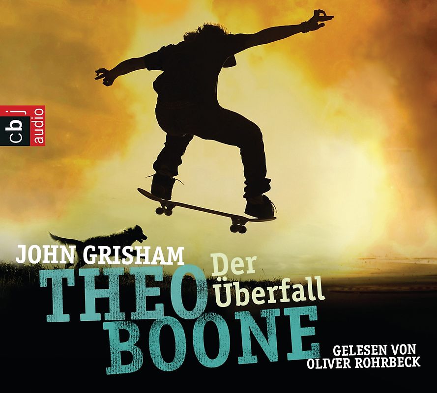 Theo Boone: Der Überfall