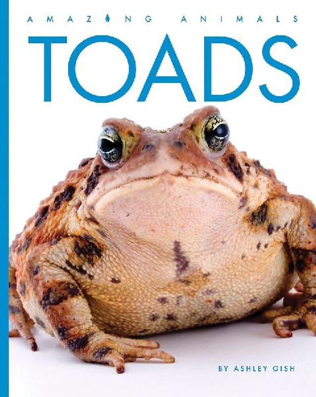 Toads