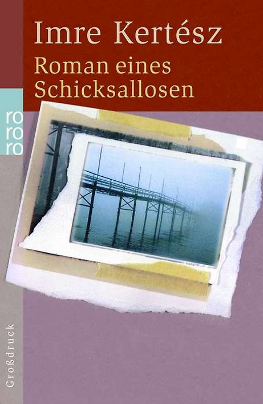 Roman eines Schicksallosen