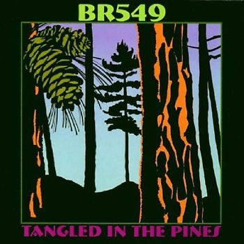 Br549 - Tangled in the Pines