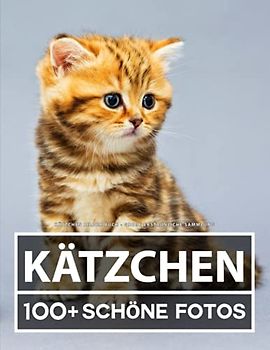 Kätzchen Bilder Buch - Große Erstaunliche Sammlung: 100 Wunderschöne Bildern - Für Kinder und Erwachsene