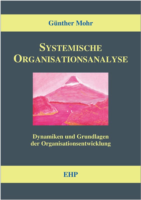 Systemische Organisationsanalyse