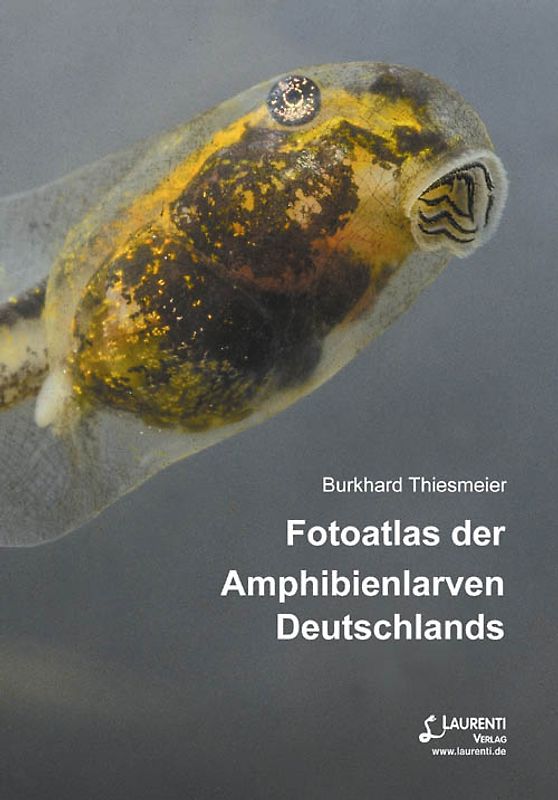Fotoatlas der Amphibienlarven Deutschlands