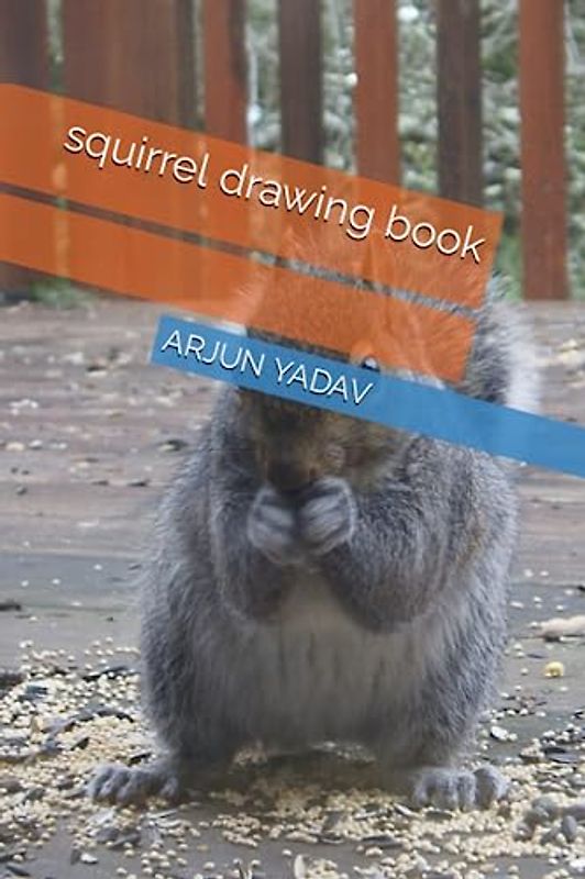 squirrel drawing book