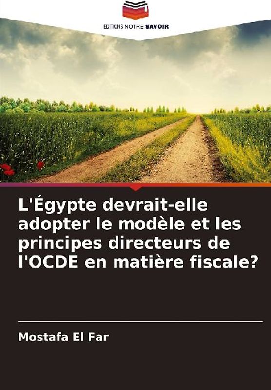 L'Égypte devrait-elle adopter le modèle et les principes directeurs de l'OCDE en matière fiscale?