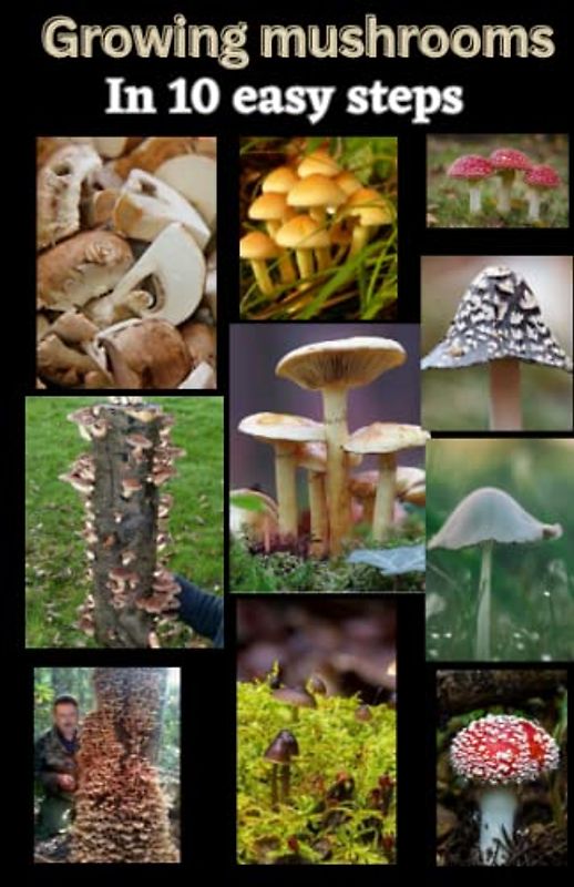 Growing mushrooms in 10 easy steps: The Complete Guide to Growing Your Own Gourmet and Medicinal Mushrooms at Home, Indoors and Outdoors.