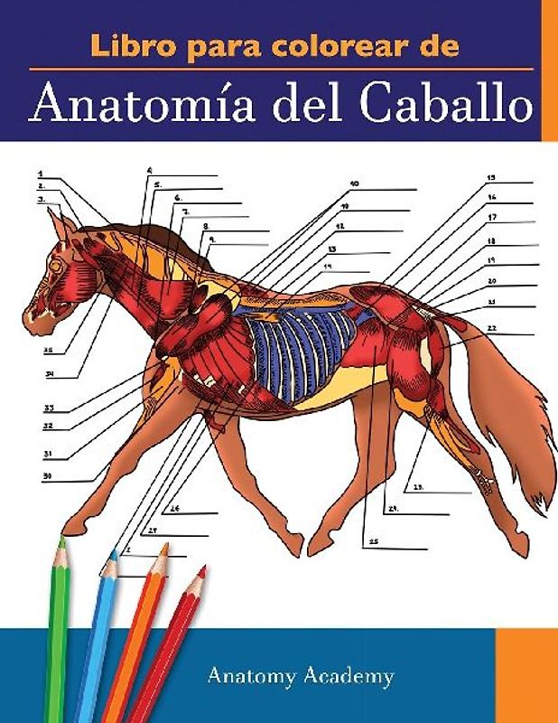 Libro para colorear de Anatomía del Caballo