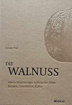 Die Walnuss