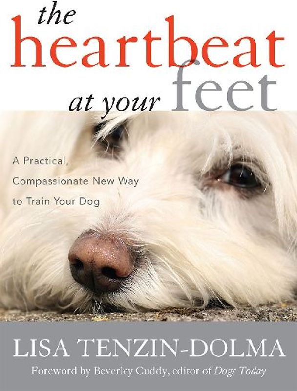 Heartbeat at Your Feet