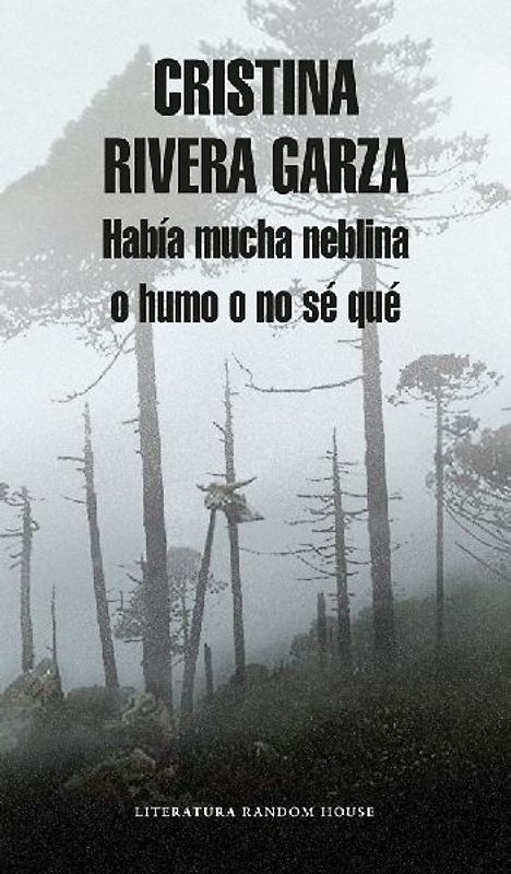 Había Mucha Neblina O Humo O No Sé Qué Caminar Con Juan Rulfo / There Was a Lot of Fog, or Smoke, or I'm Not Sure What: Walking with Juan Rulfo