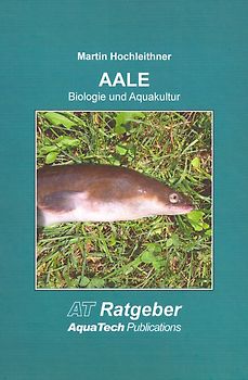 AALE (Anguillidae)