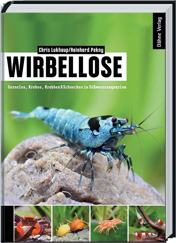 Wirbellose
