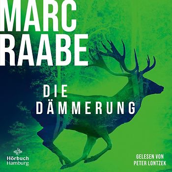 Die Dämmerung (Art Mayer-Serie 2)